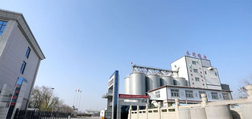 山東永明糧油擬在魯西南建設大型多功能面粉廠，助力區域農業經濟高質量發展