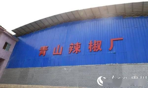 金海湖新區規劃建設辣椒加工廠，延長產業收益鏈